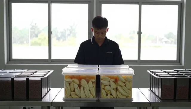 如何选择适合食品的代加工食品成品?
